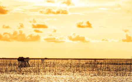 A fisherman house in the sea in golden hours with sunset.の写真素材