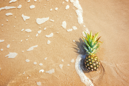 Pineapple on the beach and water sea.の写真素材