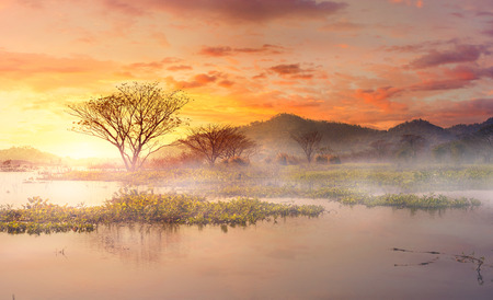 Morning mist in th lake. the tree in the water and mountain back with beautiful sky.の写真素材