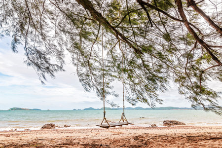 Swing hang under the tree on the beach.