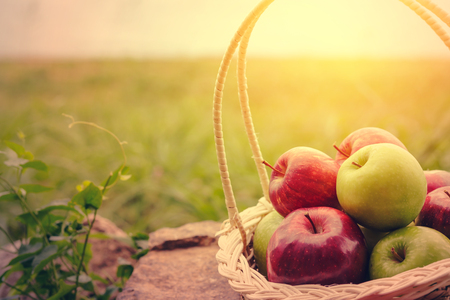An apple in the basket on the ground with sunset.の写真素材