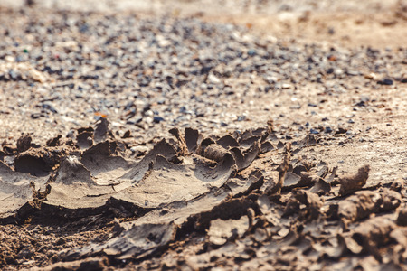 A soil crack is concept is arid.の写真素材