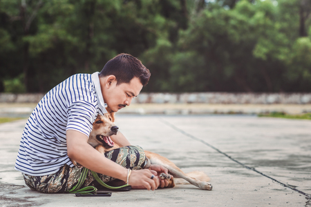 Hands man Find flea tick on dog skin hair.の写真素材