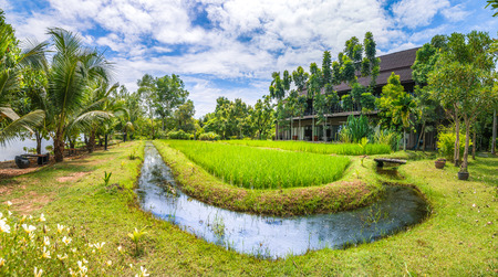 Little Green field near the Hotel and tree around field.の写真素材