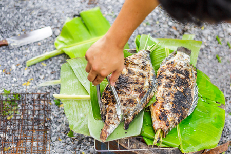 Grilled fresh fish with salt on charcoal and banana leaf.の写真素材