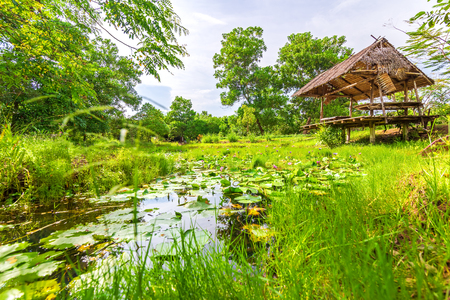 sunny midday with pond in the forest. A cabin near pond.の写真素材