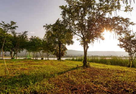 Tree, grass, mountain, water and sunset to be landscape.の写真素材