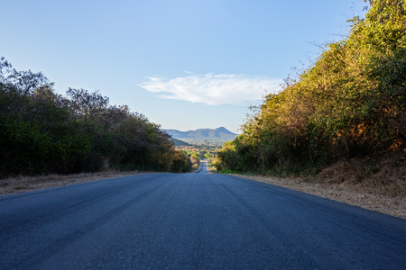 A forest road that leads to the mountains and blue sky.の写真素材