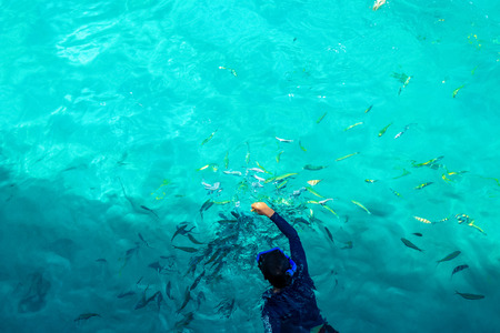 A man snorkeling in  water and give a food for fish.の写真素材