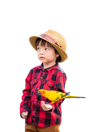 Children give a food for a bird and white background.の写真素材