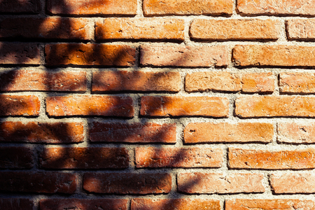 Orange old brick wall and shadow tree.の写真素材