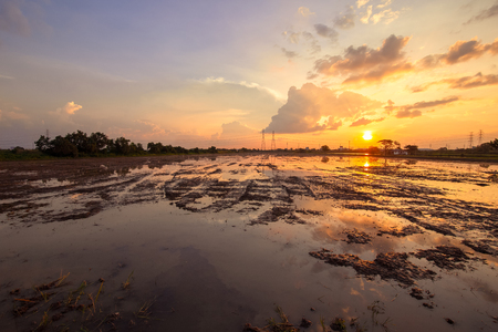 landscape scene of sunrise sunset over a farm field after harvest. Sun breaks through clouds creating reflection in water standing in the field.の写真素材