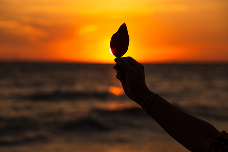 Silhouette Hand hold leaf on the beach at sunsetの写真素材