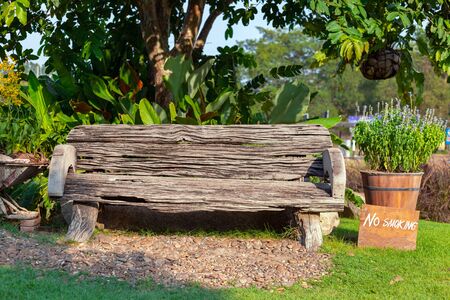 Wooden bench under the tree at park.の写真素材