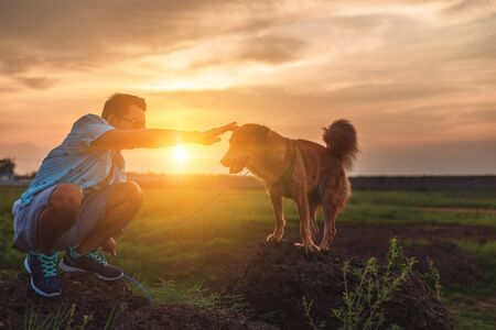 A man and a dog playing together on the stone at sunset.の写真素材