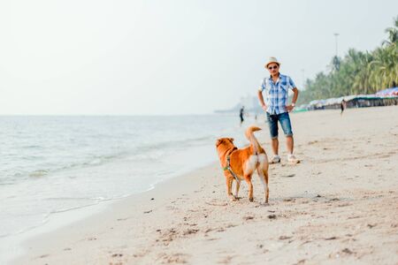 a man play with the dog on the beach.の写真素材