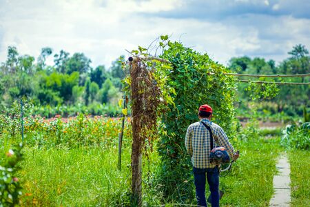 The worker of a garden cuts off a grass. The man in a uniform of the general worker works at a lawn.の写真素材