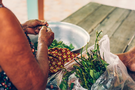 Cassia Tree,Thai Copper Podl. Old women sitting on wood table and prepare cooking with Food ingredient.の写真素材