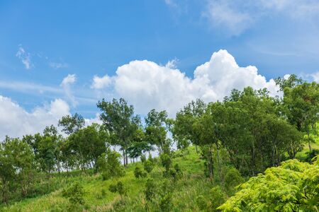 Green mountain and beautiful blue sky with cloud. Landscape background.の写真素材