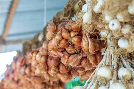 Shallot herb organic hanging on old bamboo.の写真素材