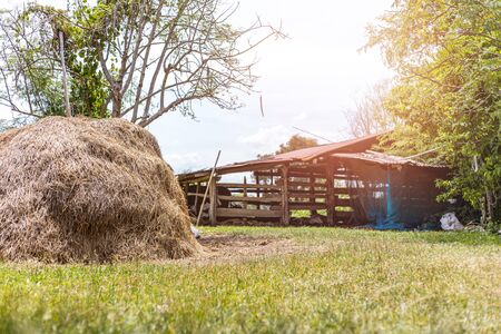 Straw on green grass near animals fence at countrysideの写真素材