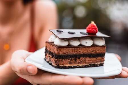 Chocolate cake with strawberry in dish. Dessert concept.の写真素材