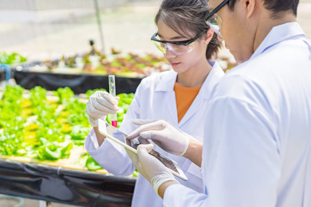 Scientists test the solution, Chemical inspection, Check freshness  at organic, hydroponic farm.