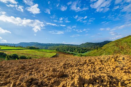 Preparing soil for plant over the mountain under blue sky.の写真素材