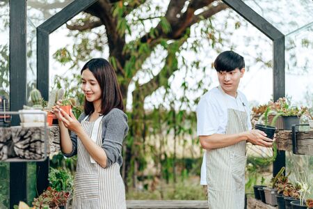 Woman hold cactus. Love couple enjoy hobby with garden cactus.の写真素材