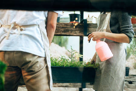 Young couple relax in the garden. They care plant and flower.の写真素材