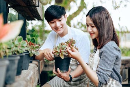 Young couple relax in the garden. They care plant and flower.の写真素材