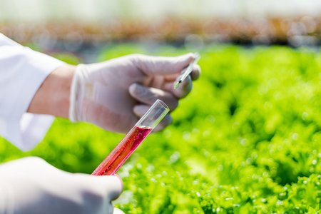Scientists test the solution, Chemical inspection, Check freshness  at organic, hydroponic farm.
