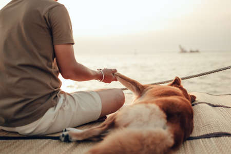 A man hold one hand  with a dog pet near the sea sunset.Travel, Vocation, Holiday concept.の写真素材