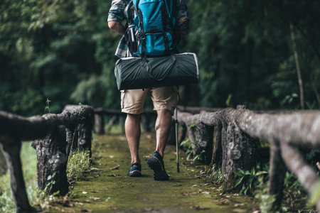 Hikers use trekking pole with backpacks and hold tent bag walking through the forest. hiking and...