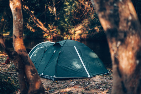 Green tent on the grass in the forest The view behind is the mountain in the morning. Camping,...