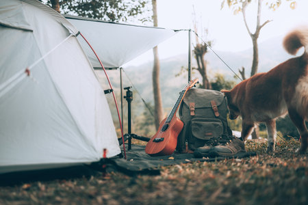 Camping equipment, bags, shoes, ukulele, tripod beside the tent in the morning. Object camp, Travel and vocation concept.の写真素材