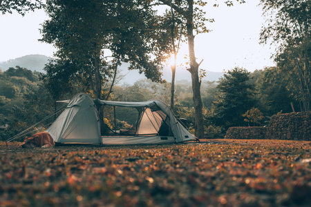 Gray tent on the grass in the forest The view behind is the mountain in the morning. Camping, Travel and holiday concept.の写真素材