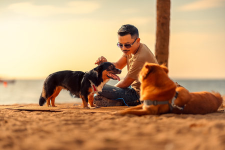 A man owns a dog sits and pet his dog on a mat on the beach and playing with his dog. Animal family concept.の写真素材