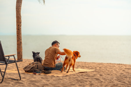 A man owns a dog sits on a mat on the beach and playing with his dog. Animal family concept.の写真素材