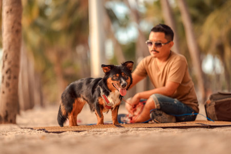 dog rest after playing on the beach and a man owns a dog sits on a mat on the beach and playing with...