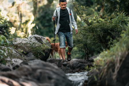 Hikers walk on rocks with dog in the stream flowing from the waterfall.の写真素材