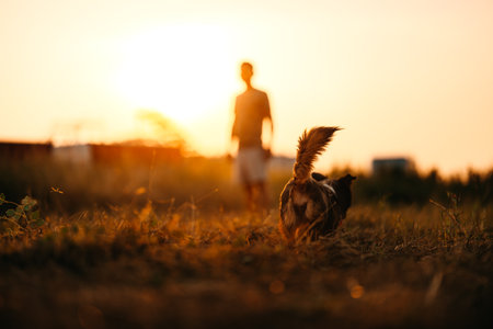 dog happy walks on the meadow with its owner during sunset. Pet and family concept.の写真素材