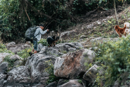 Hiker walk on rocks with dog in the stream flowing from the waterfall to his tent in hill.の写真素材