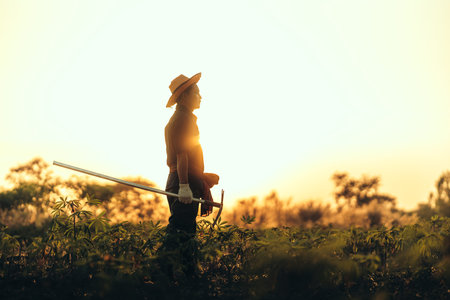 A cassava farmer holds a hoe and stands in the middle of his field during sunset.