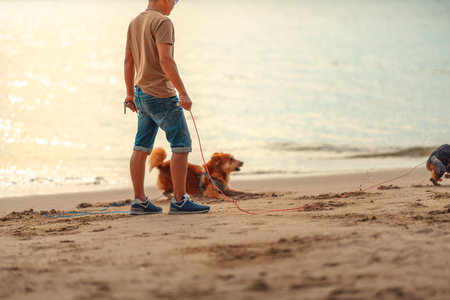 Dog run to playing together on the beach. dog, pet, family and friendship concept.の写真素材