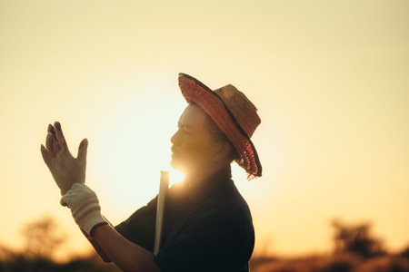 A cassava farmer puts on cloth gloves and holds a hoe to dig soil in the middle of his field during sunset.の写真素材
