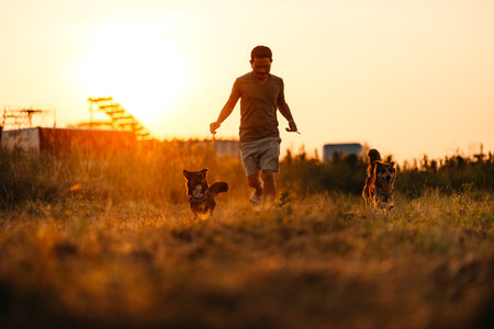 dog happy running and see  dog treats on his owner's hand during sunset. Pet and family concept.の写真素材