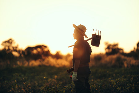 A cassava farmer holds a hoe and stands in the middle of his field during sunset.の写真素材