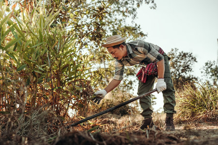 Before planting vegetables, gardeners use a hoe to clear weeds from the soil.の写真素材