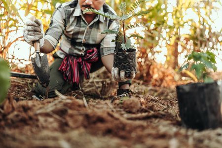 A gardener is planting a tree in the ground in the garden.の写真素材